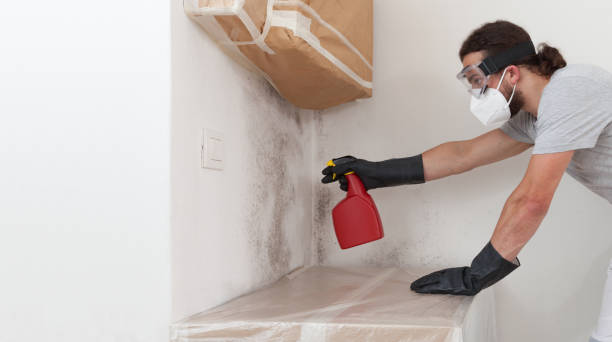 Professional Bathroom Mold Removal technician working in Bath, PA